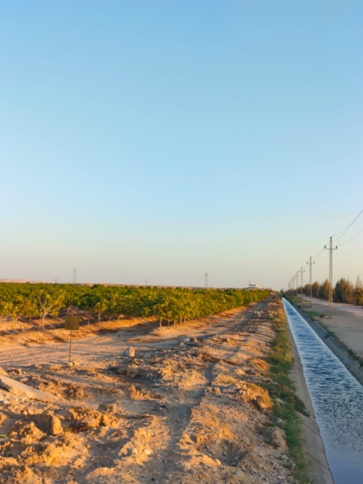 الشركة العالمية للاستثمار والتوكيلات التجارية (أكيكا)